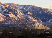 Temple Views